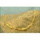 Leaf Design Gold Plated Necklace